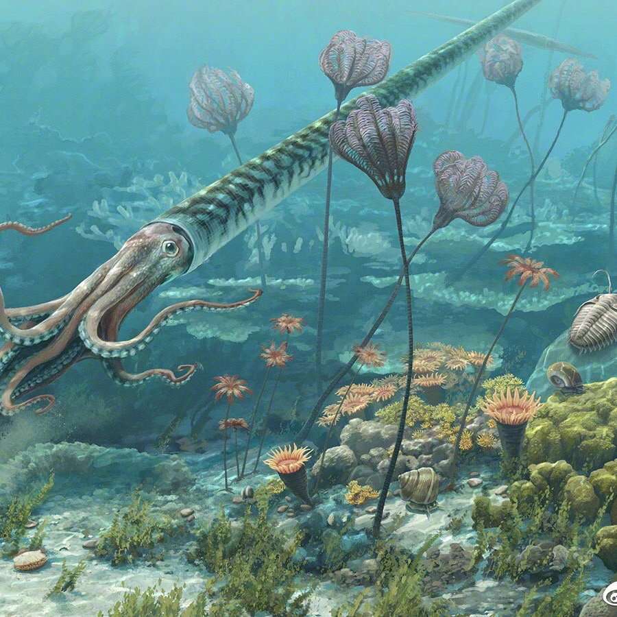 古生物复原欣赏奥陶纪的海洋