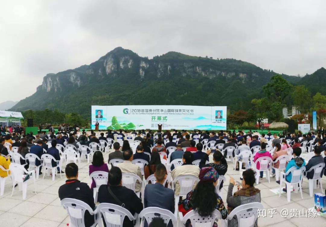 傅传耀 抹茶的前世 今生和未来 知乎