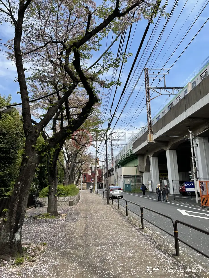 达人日本,日本留学