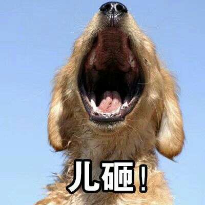 论奇葩舍友大一菜鸟不邀自答 #表情包预警,流量党注意#正文开始 其实
