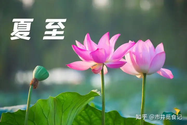 夏至吃什么食物必不可少？