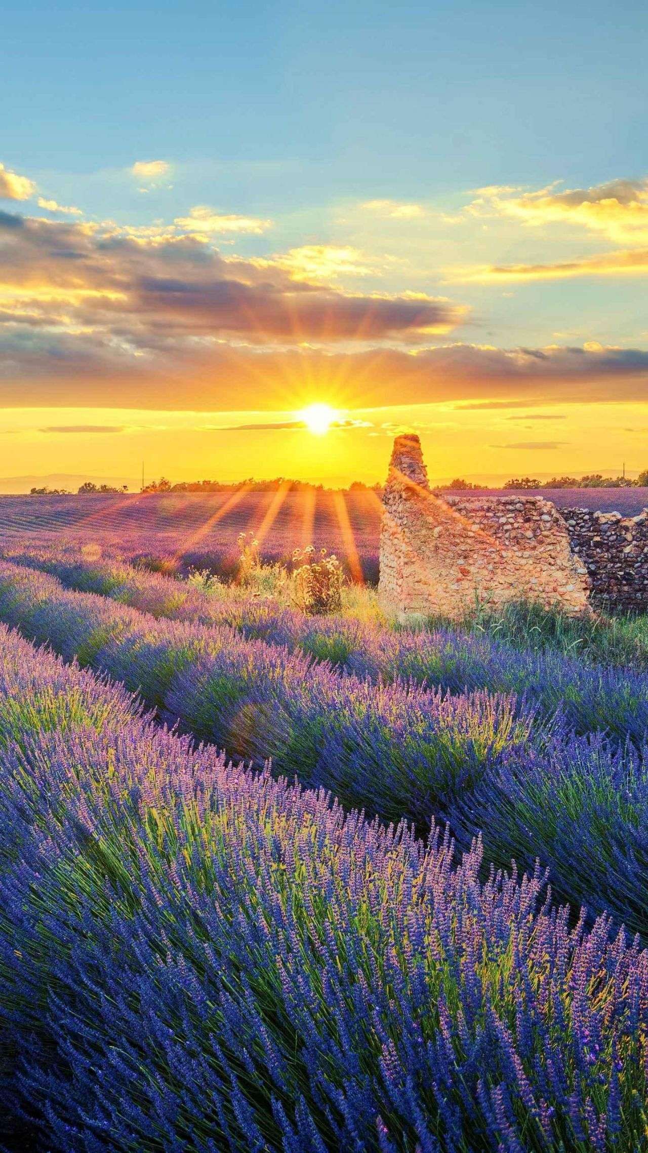 霍然开朗 的想法: 要一直进步才好 | 昨日纵有落后 只要今天… - 知乎