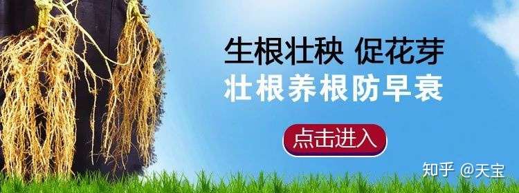 葡萄花穗整形处理图解 知乎