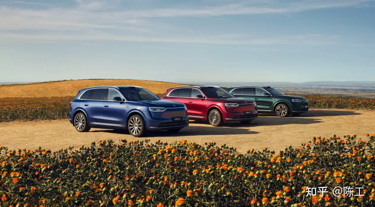 预算 30 万，想买一台安全性高、市场保有量大的新能源 SUV，有没有推荐的车型？