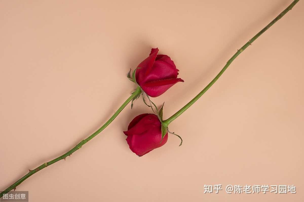 写作 中考必背 英语作文开头和结尾万能公式 附考试常用谚语100句 知乎 写作 中考必背 英语作文开头和结尾万能公式 附考试常用谚语100句 知乎