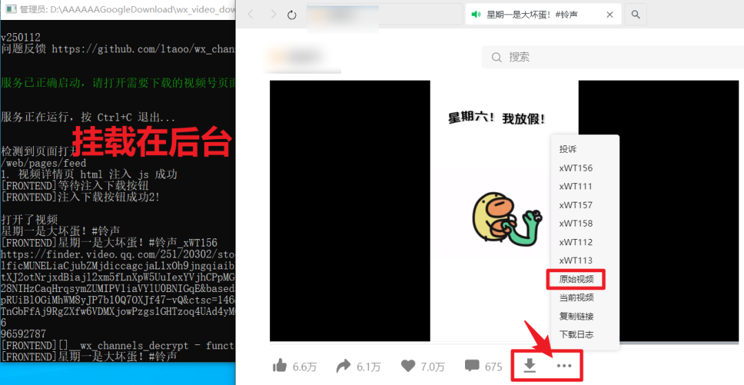 图片[10]-两款VX视频号下载软件！原画质无损下载视频号工具，附详细使用教程 - 山海之花 - 宝藏星球屋-山海之花 - 宝藏星球屋