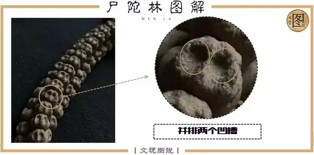 挑选百香籽(柏香籽)有哪些注意事项,如何辨别真伪?-第21张图片-阔酒网 挑选百香籽(柏香籽)有哪些注意事项,如何辨别真伪?-第21张图片-阔酒网