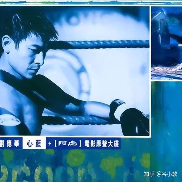 贾玲,坚持下去!插图5 贾玲,坚持下去!插图5