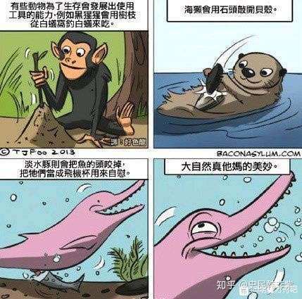 动物界的冷知识 性 知乎