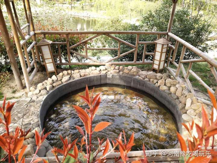 华中di一山地温泉鸡公山依云森林温泉来啦