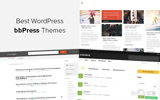 bbPress 喻 21 衷桅锚 WordPress 形网