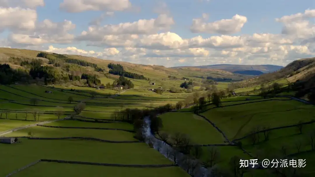 《万物生灵第六季》豆瓣9.4,秋季限定神剧回归!