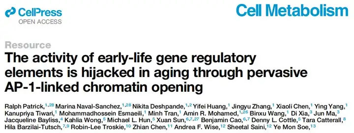 《热点│衰老过程中的表观遗传调控》