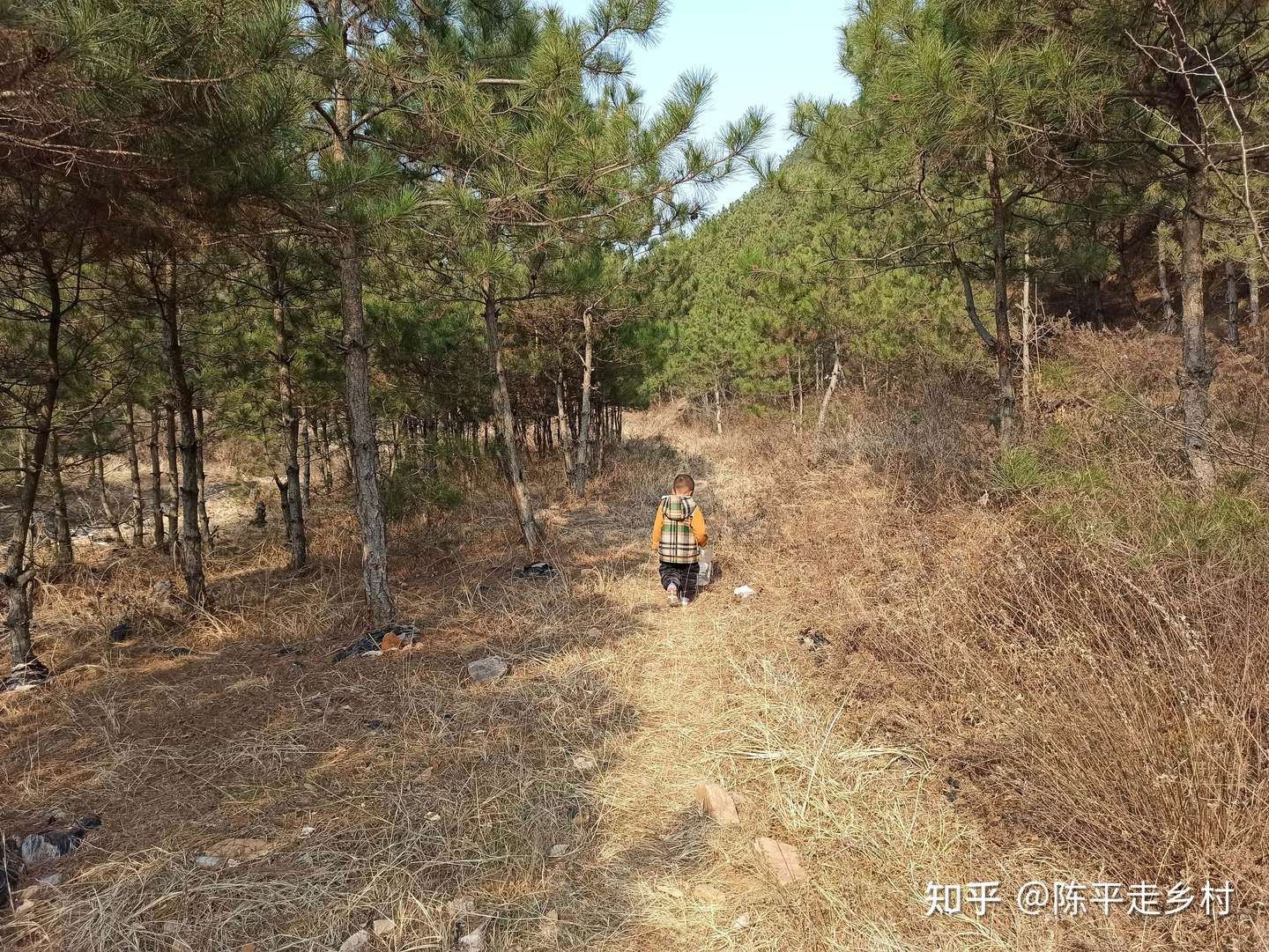 秦岭这条山沟里有小溪 有山神庙 到山沟深处捉鱼蟹回味童年乐趣 知乎 秦岭这条山沟里有小溪 有山神庙 到山沟深处捉鱼蟹回味童年乐趣 知乎