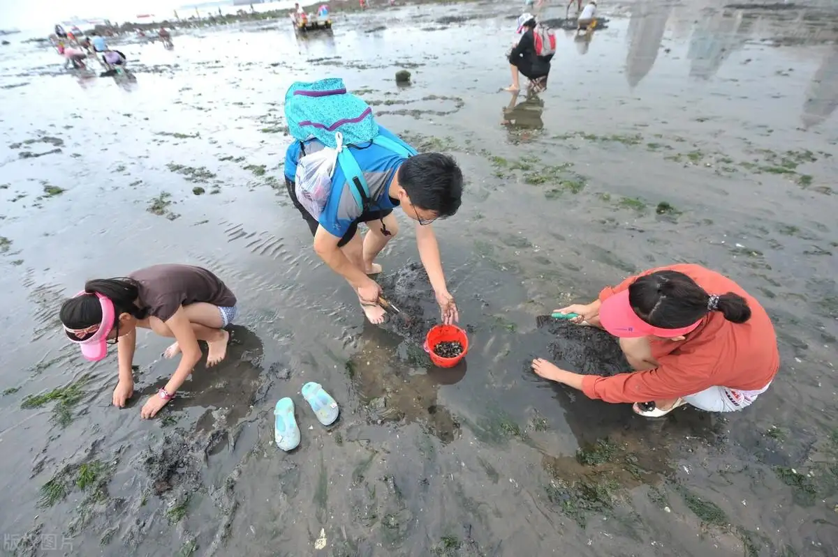 没才艺没口才怎么直播 没才没艺适合干哪种主播