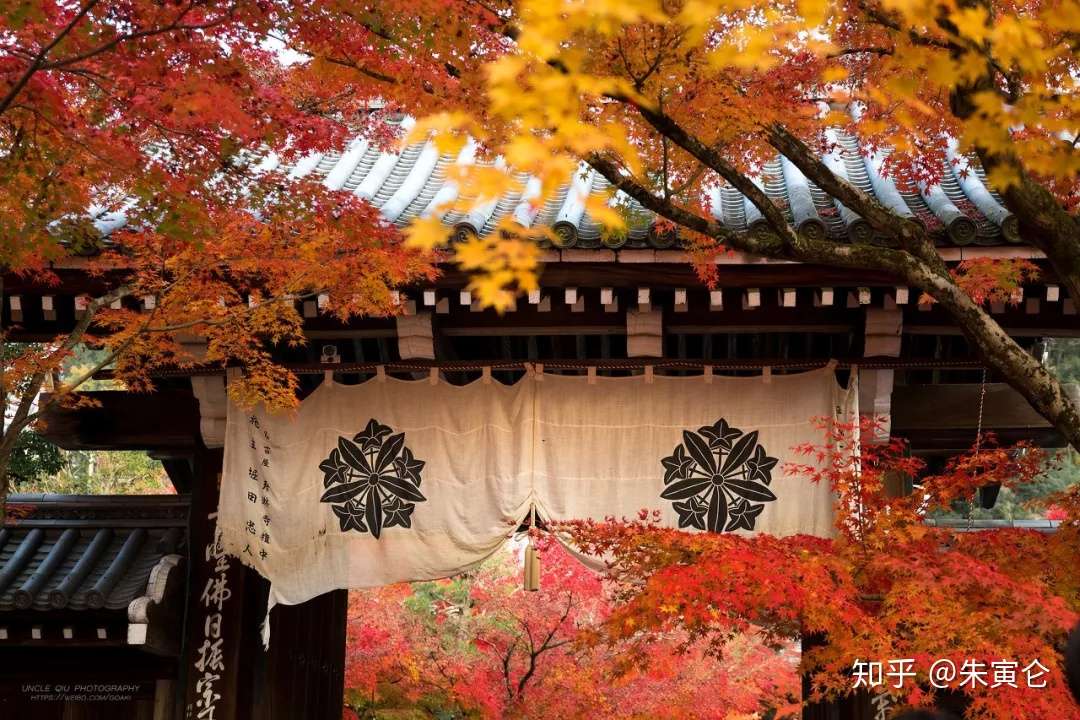 秋天去日本泡汤 有类极上玩法叫 红叶の醉 知乎