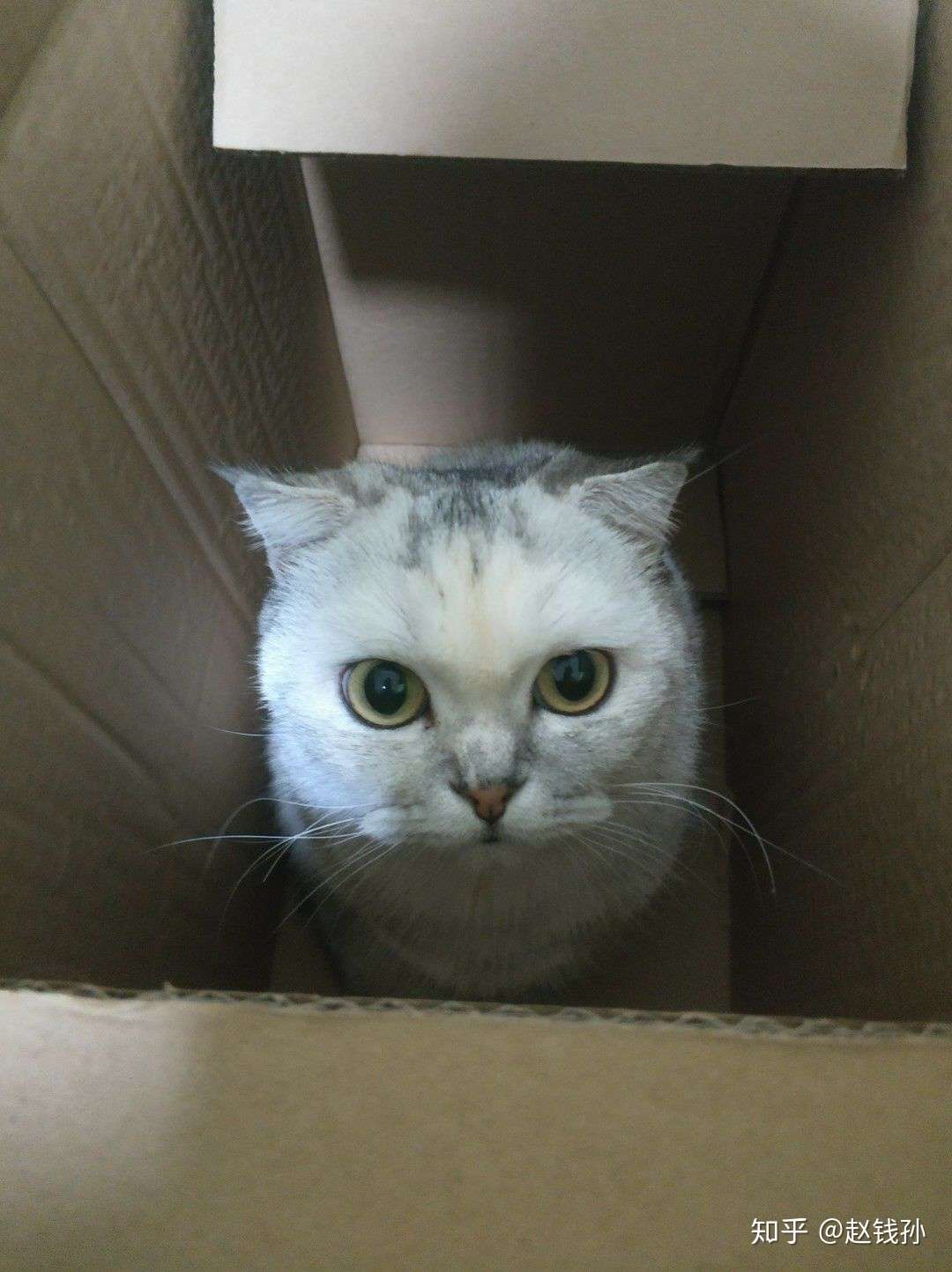 小黑教我做人 一 知乎