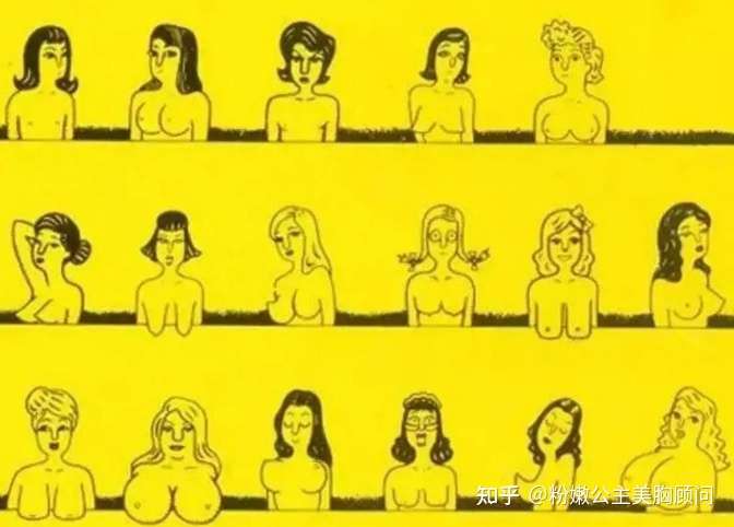 女生的胸部 有几种形状 女性必知哦 知乎