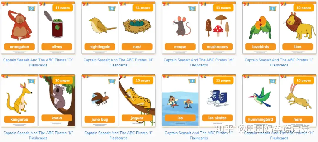 Captain Seasalt And The ABC Pirates Y Flashcards - Super Simple