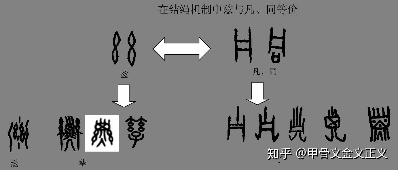 子 巳 考释 儿子之子为何又是尊称 子 巳为何同字 知乎