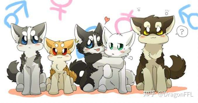 你是怎么进入兽圈的?