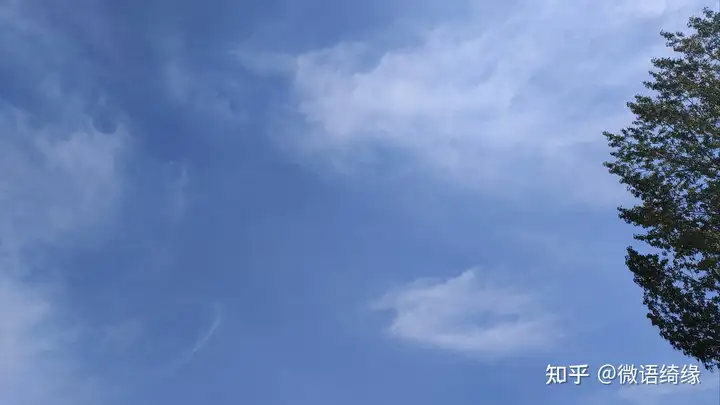 行政审批章能盖实习报告吗? - 知乎