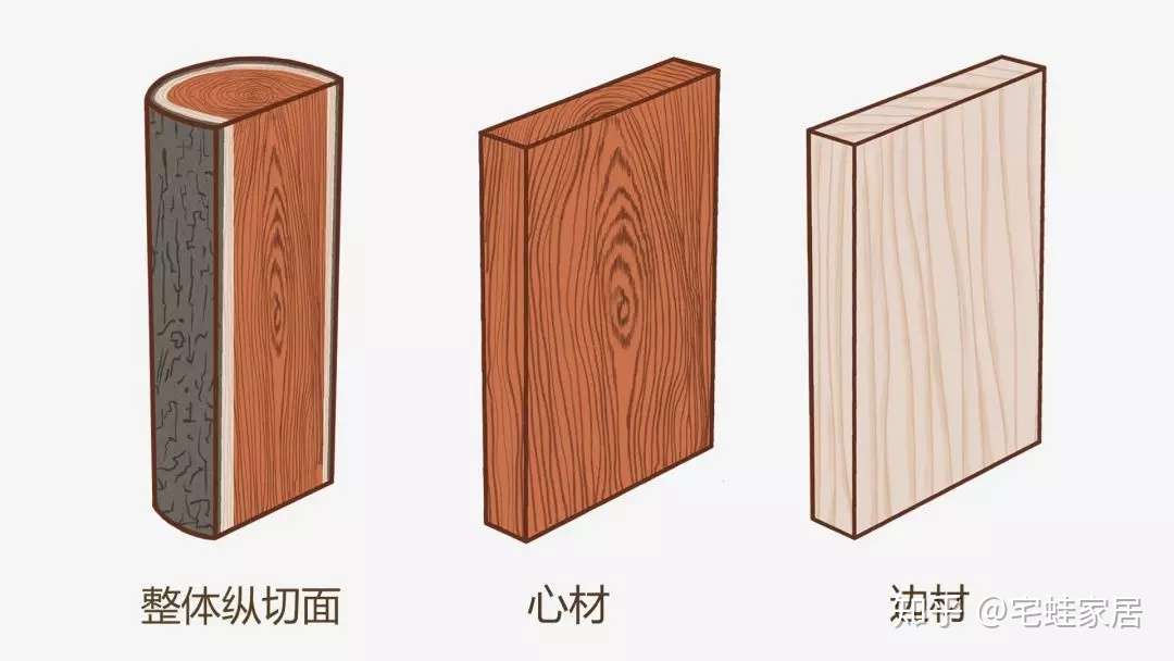 简单易懂 常见12种家具木材的知识点 知乎