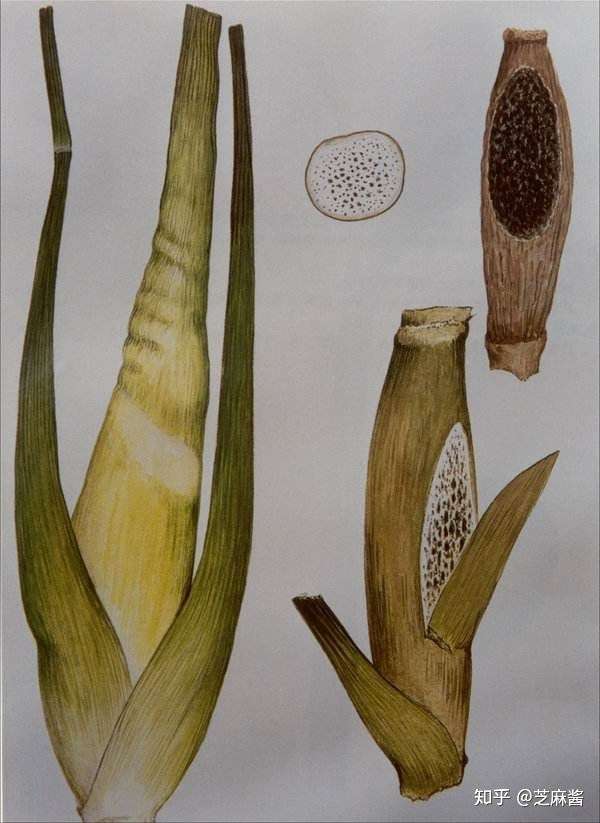 茭白切开有黑点可以吃吗?