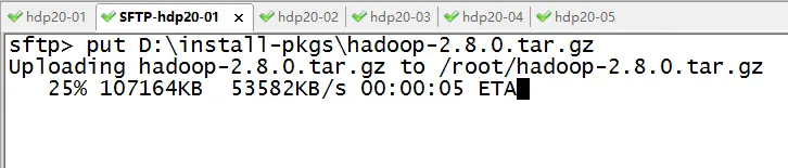 Hadoop系列4–HDFS集群搭建实战之HDFS系统部署-卡咪卡咪哈-一个博客