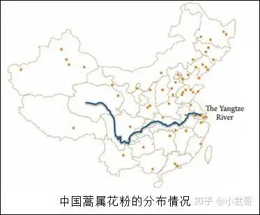 蒿属花粉过敏要怎么办