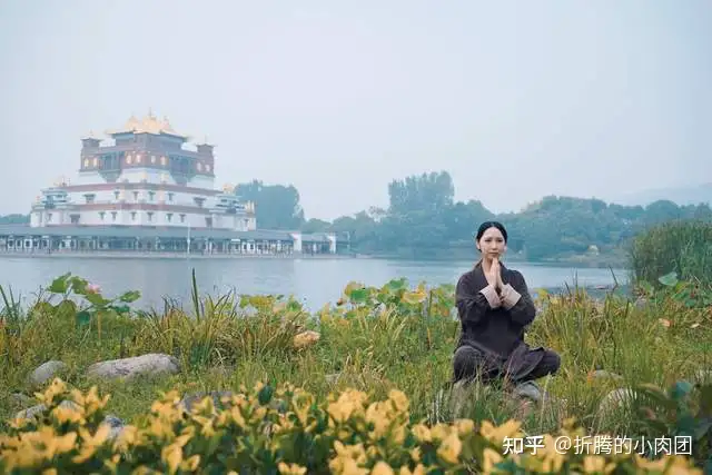 无锡灵山大佛景区的游玩攻略是什么？