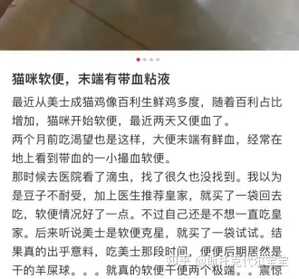 伯纳天纯的猫粮到底怎么样？