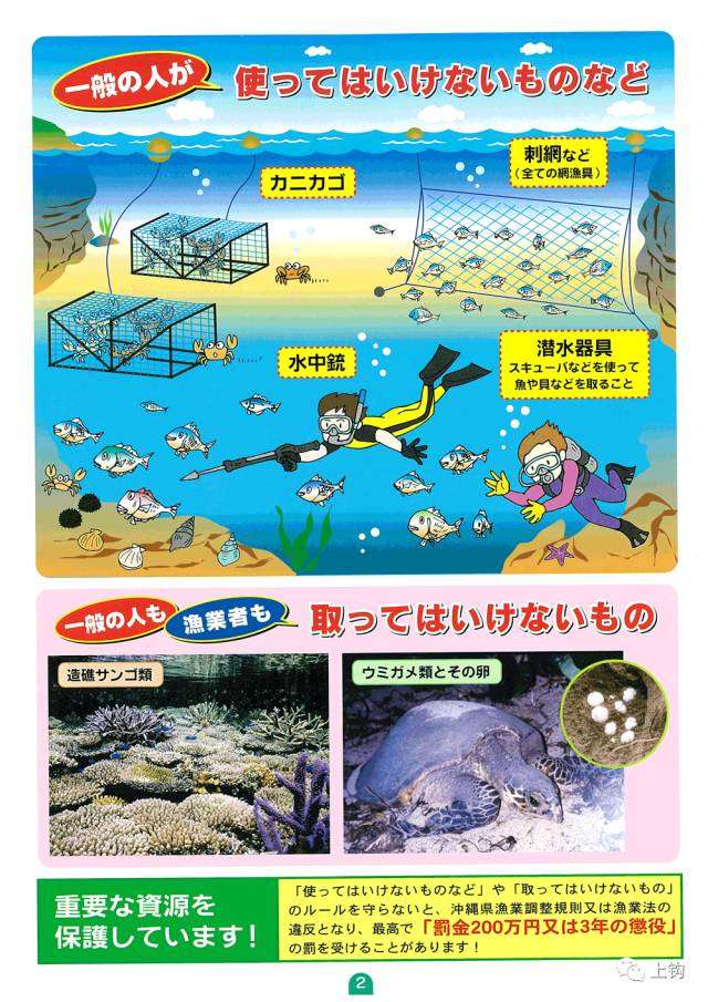 春节福利 一篇文章解决你所有关于冲绳海钓的问题 知乎