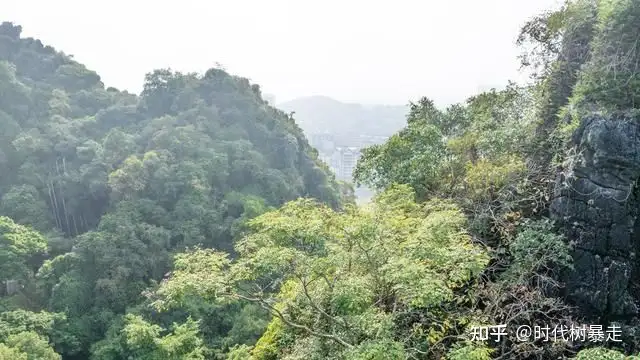 广西一座山因张馨予打卡成网红（广西65座大山被连夜炸平） 第3张