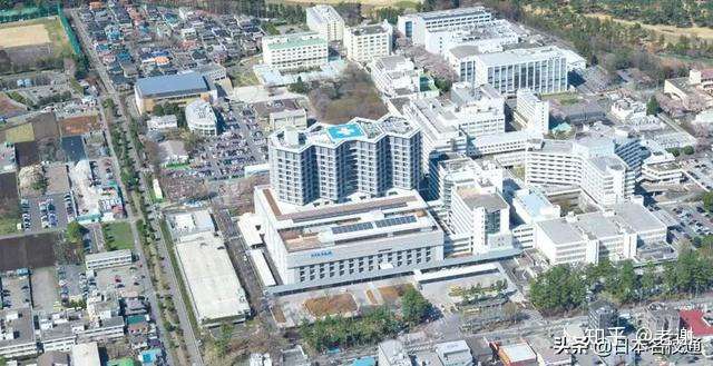 医药学之光 北里大学 知乎