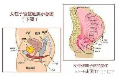 坐完月子后若你没出现这三个变化产后恢复的还不错