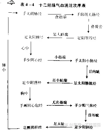 奇經八脈的基本概念:是督脈,任脈,衝脈,帶脈,陰蹺脈,陽蹺脈,陰維脈,陽