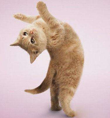 大风大浪我干过电商从业者