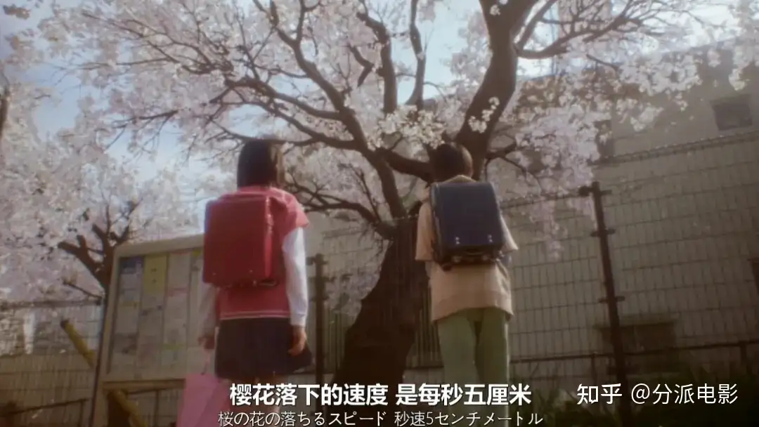 《秒速五厘米》经典动漫拍真人版，每帧都是回忆杀！