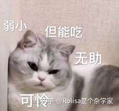v2-f8ae6877ce6f666087e18f39d8d5086d_720w.jpg?source=1940ef5c