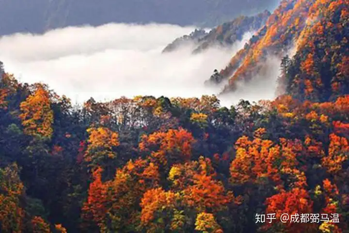 巴山蜀水｜必去的巴中之行
