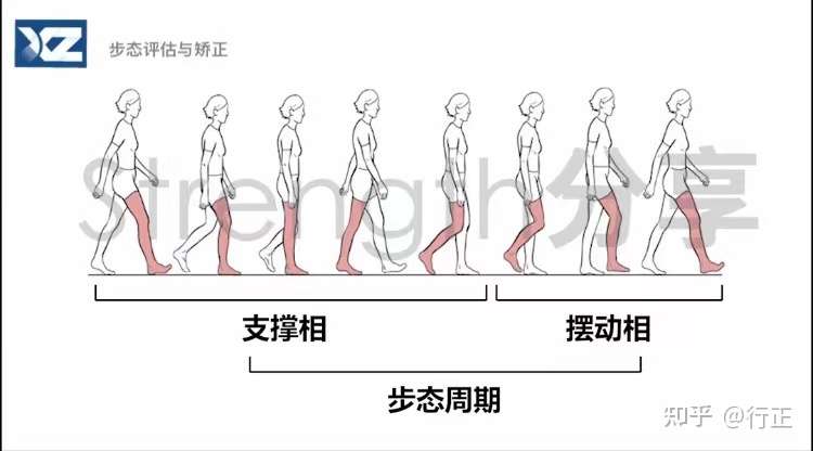 还不知道步态分析是什么 深圳行正科技告诉你 知乎