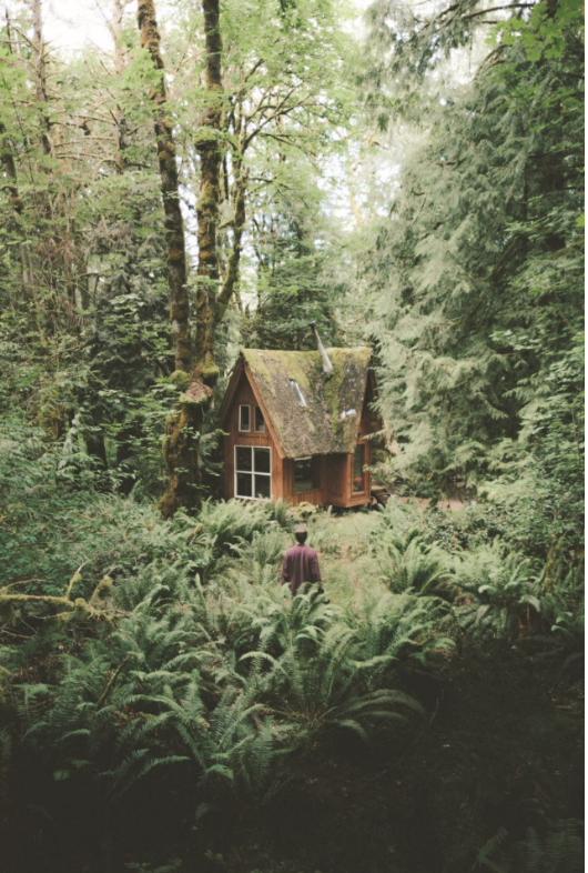 长时间的野外生活是什么体验?