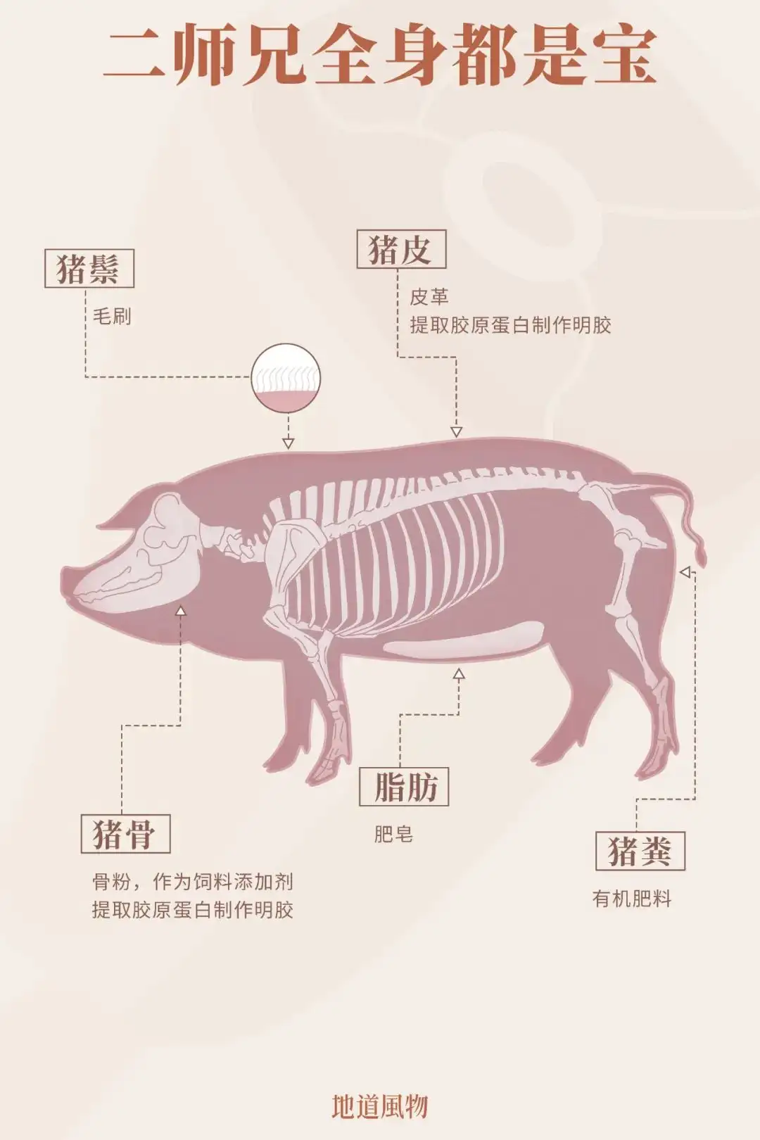 中国哪里人最爱吃猪？前十没有北方省份！ - 知乎