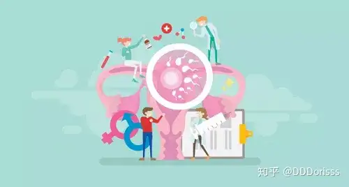 广州供卵医院（试管婴儿手术失败的5大原因）