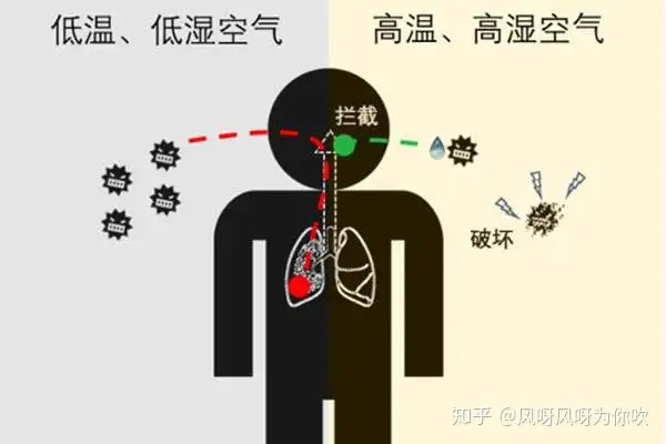 湿温度计哪个牌子的好，2023年最新湿温度计品牌评测选购，好用准确湿温度计品牌推荐