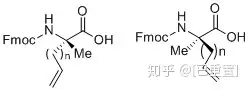 图片[1]-多肽合成-多肽合成的方法有哪些？-Hypeptide