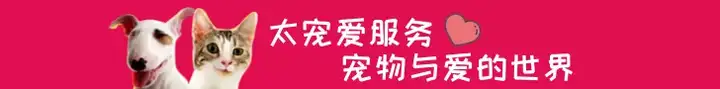 狗狗睡觉时呈现抽搐，是生病了吗？（狗狗睡觉老抽搐）