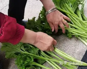 鸡冠菜怎么烧才好吃?