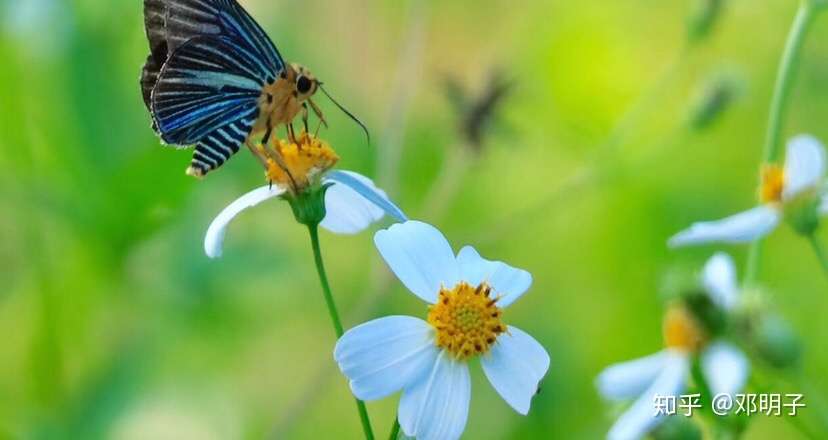 博客來 在深夜遇見薩古魯 印度聖哲的內在喜悅工程